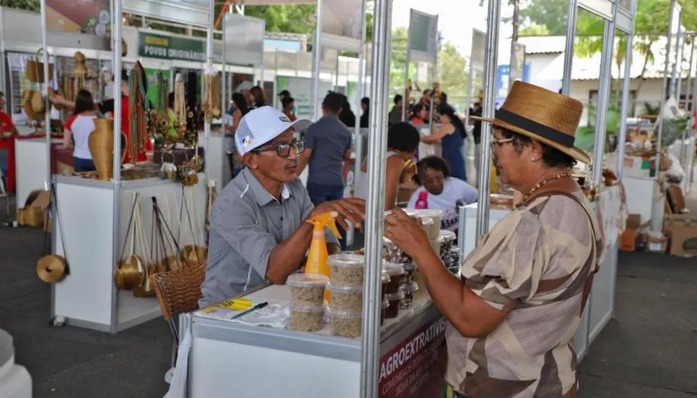 Vanda Monteiro apresenta lei que institui Política Estadual de Agroindústria Familiar no Tocantins