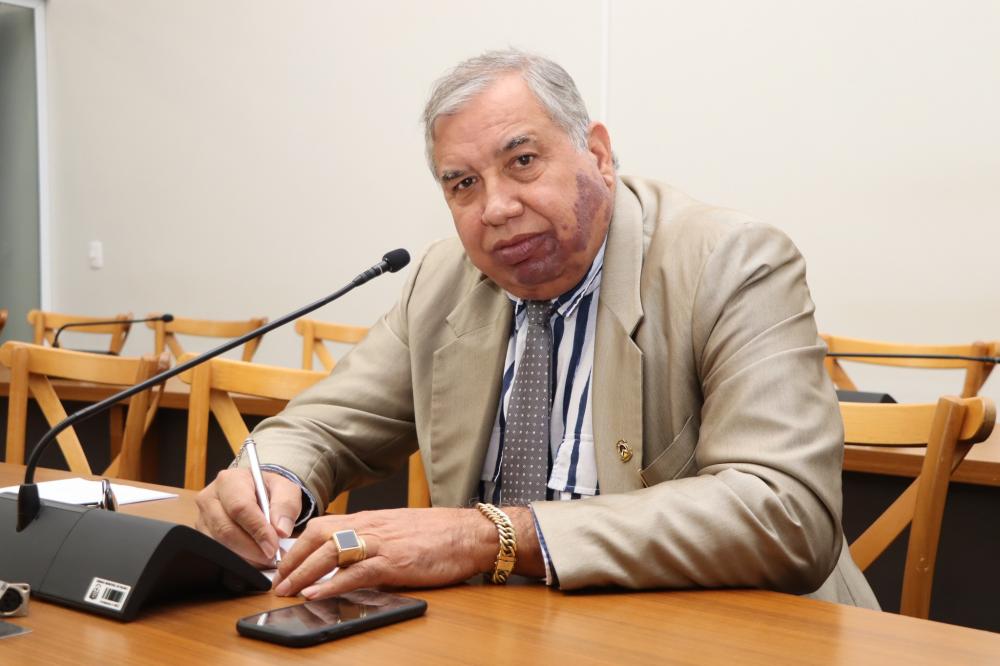 Vereador Jucelino solicita a jardinagem do canteiro central da Avenida Beira Rio no setor Laila