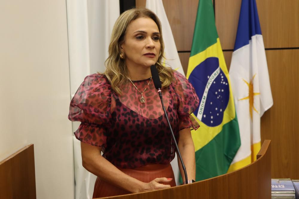 Vereadora Laudecy Coimbra enaltece artistas e promotores culturais da Capital