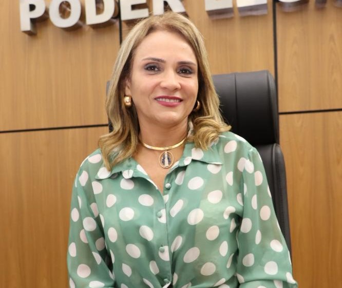 Vereadora Laudecy Coimbra propõe solução para crise de iluminação em Palmas