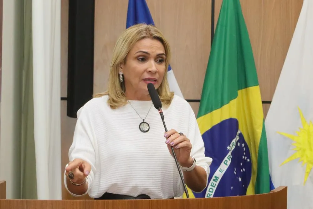 Construção de Praça com quadra poliesportiva, academia, parquinho e paisagismo é solicitada por Laudecy Coimbra para a 407 Sul