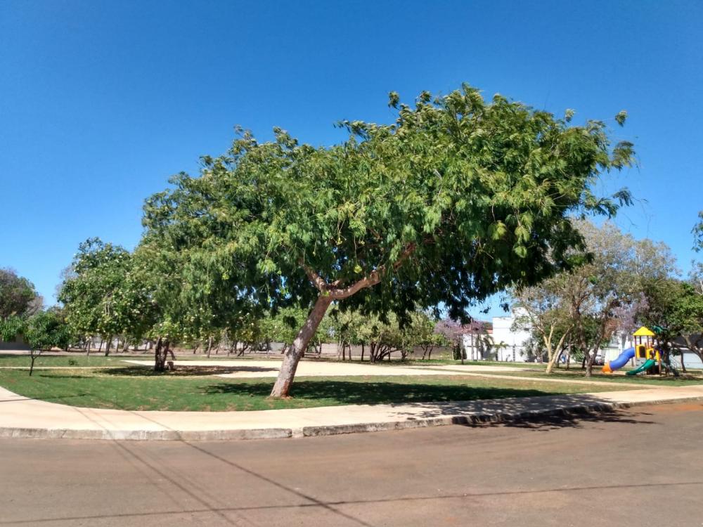 Marilon Barbosa cobra iluminação da praça da Quadra 509 Sul